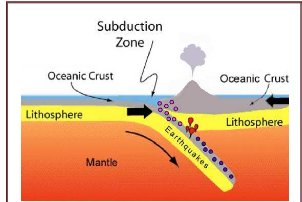 Solved] Diagram A shows a [ Select ] [\, image size:1180x788