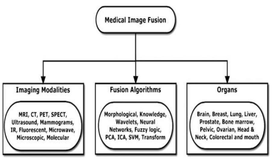 (PDF) Medical Image Fusion Using Discrete Wavelet Transform