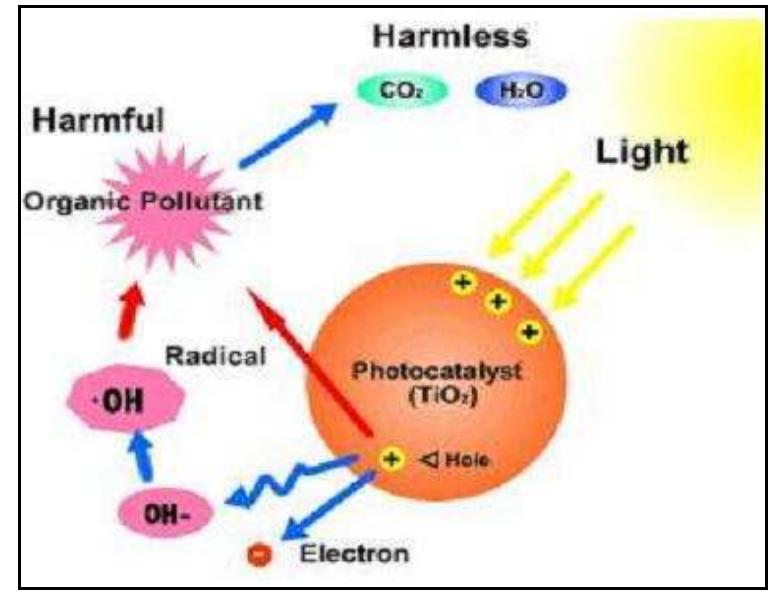 Figure 5 - from nanotechnology in water treatment