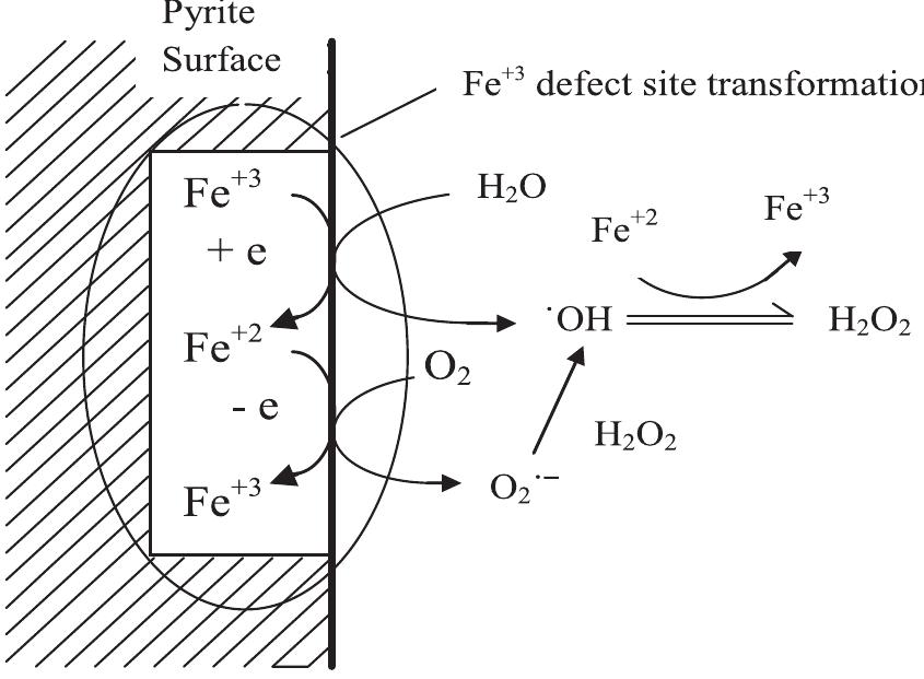 Fig. 3. In-situ production of H202/HO’ by iron pyrite (Wang et al., 2012).  Fang et al. (2013) exploited the reductive property of magnetic nano-particles for transformation of oxygen into H202. Here, transformation of oxygen into H2O2 takes place in two consecutive single electron transfers steps from MNPs sorbed Fe2+ with sub- sequent protonation with Ht. Then H20; reacts with dissolved Fe?+ in bulk medium to produce HO’ radical through Fenton reaction. From reaction mechanism, it was observed that pH has a profound effect on the type of oxidizing species available in reaction medium. As shown in Fig. 4, superoxide radical (03) is dominant at alkaline pH while HO’ is dominant at acidic condition. 