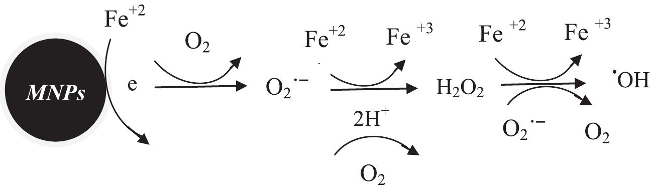 Fig. 4. Reaction pathways for in-situ production of HO'/H202 utilizing MNPs (Fang et al., 2013). 