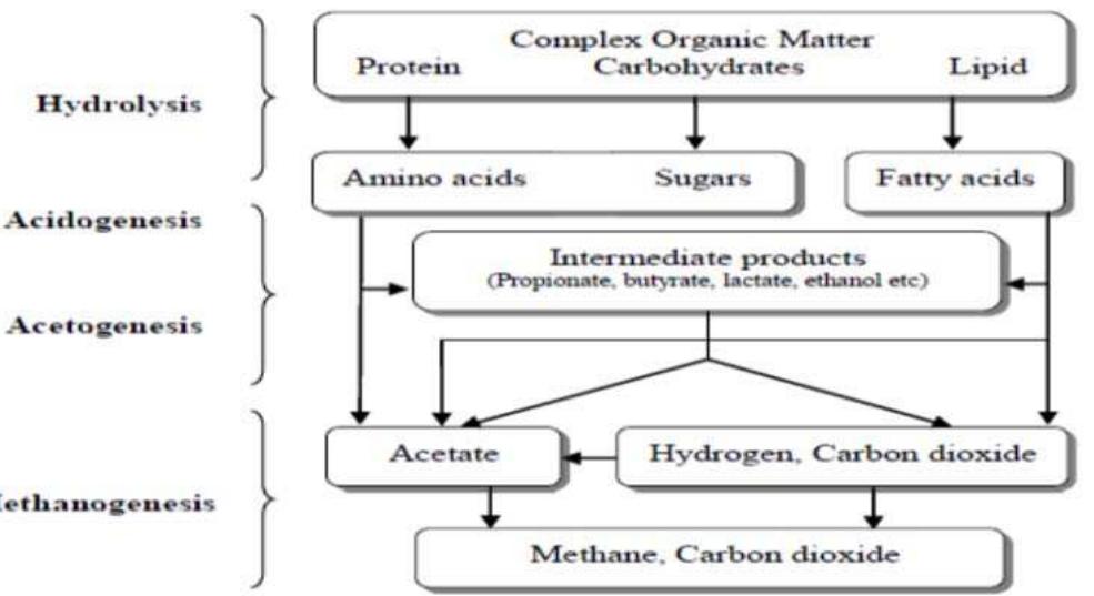 Figure 3 - from Design of the Bio-digester for Biogas