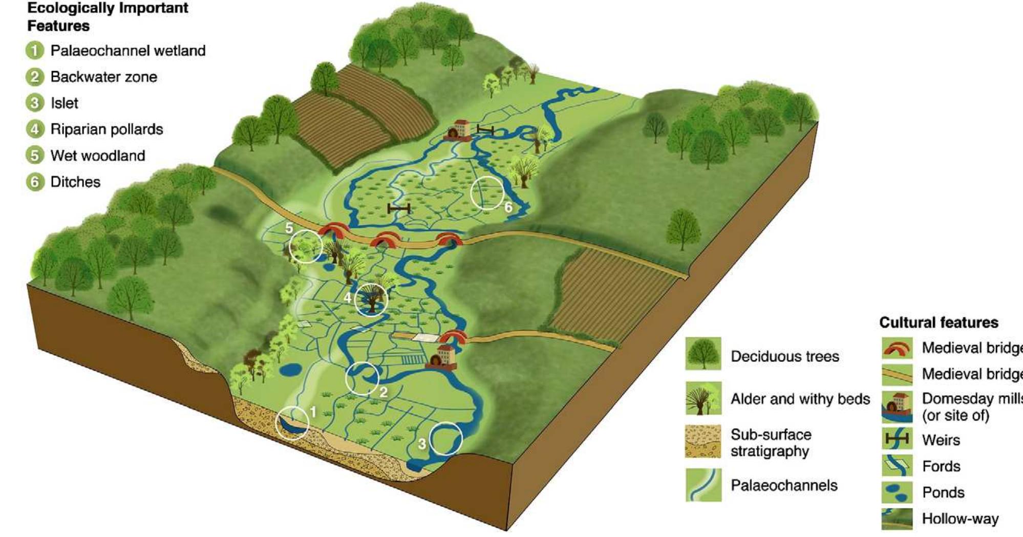(PDF) Human impact on fluvial regimes and sediment flux during the ...