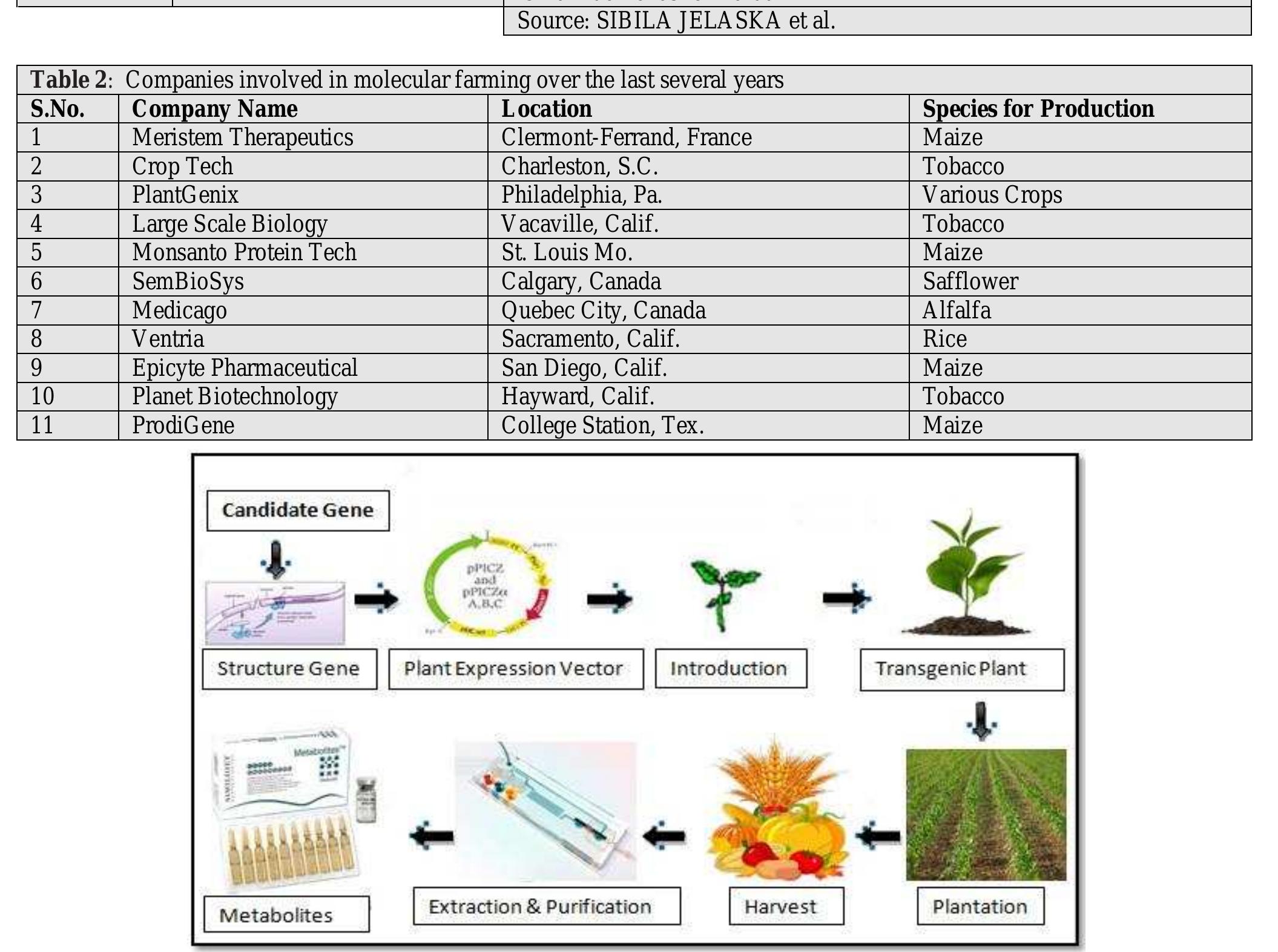 (PDF) Molecular Farming: A biotechnological approach in agriculture for ...