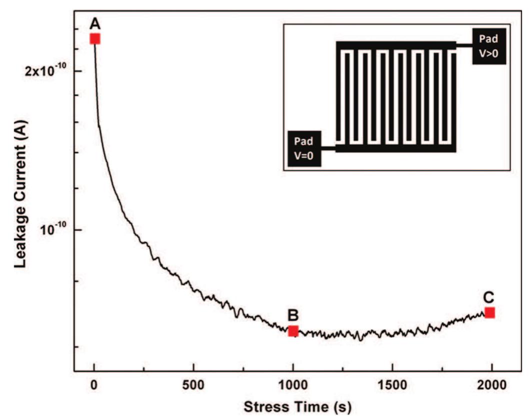 A plot showing the leakage current as a function of time in