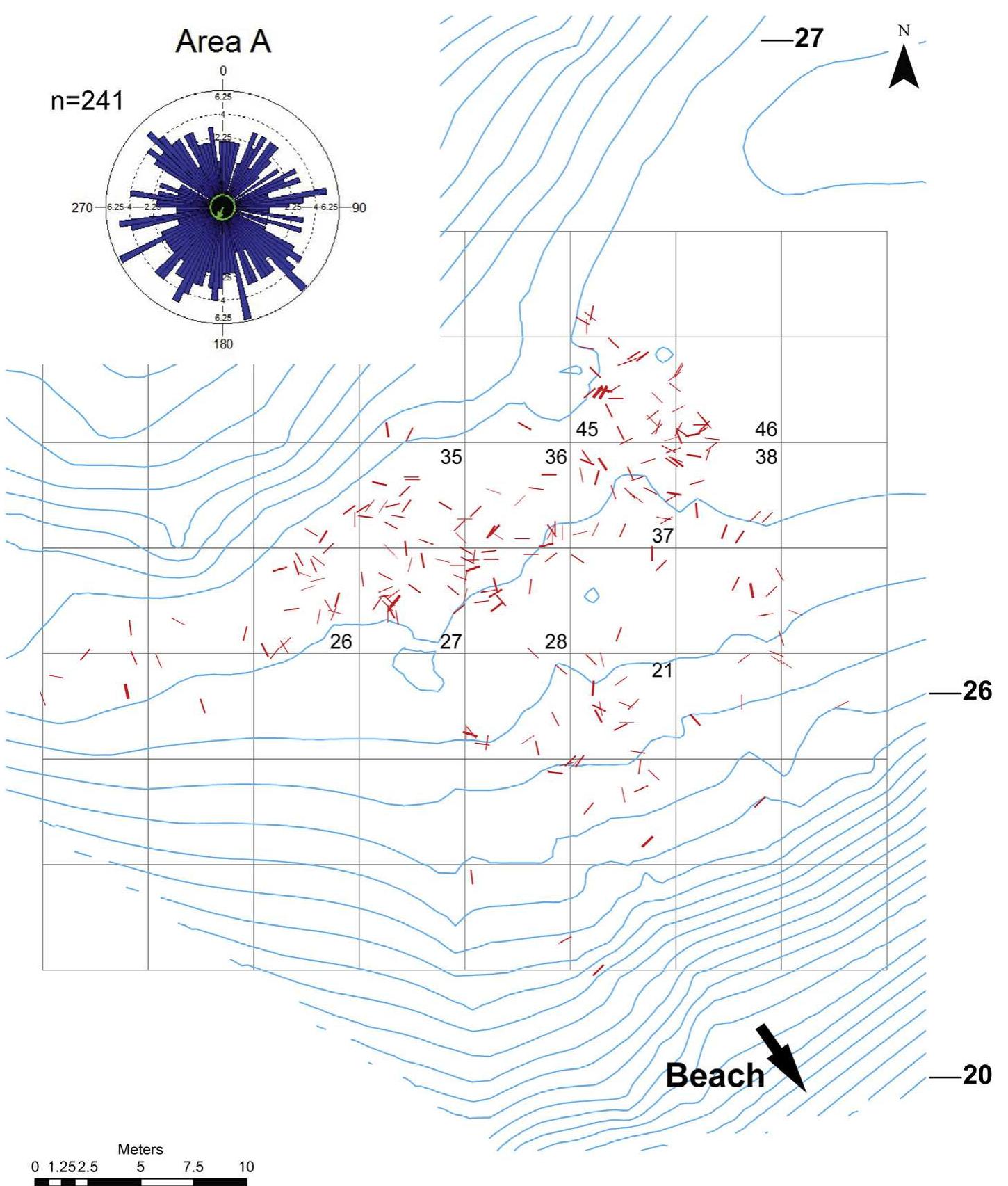 Fig. 3. Vleesbaai Area A showing all artifacts with bearing data projected onto a contour map of the landscape surface. The rose diagram in upper left corner shows the distribution of artifact bearings. Arrow extending out from circle indicates the direction of preferred bearing of the artifacts and that the bearing is significantly different from random (p > 0.05) The contours are in meters a.s.]. at 25 cm increments. The grid is composed of 5 by 5 m squares. Sequential numbers inside of some grid squares correspond to grid square number: used in fabric analysis. 