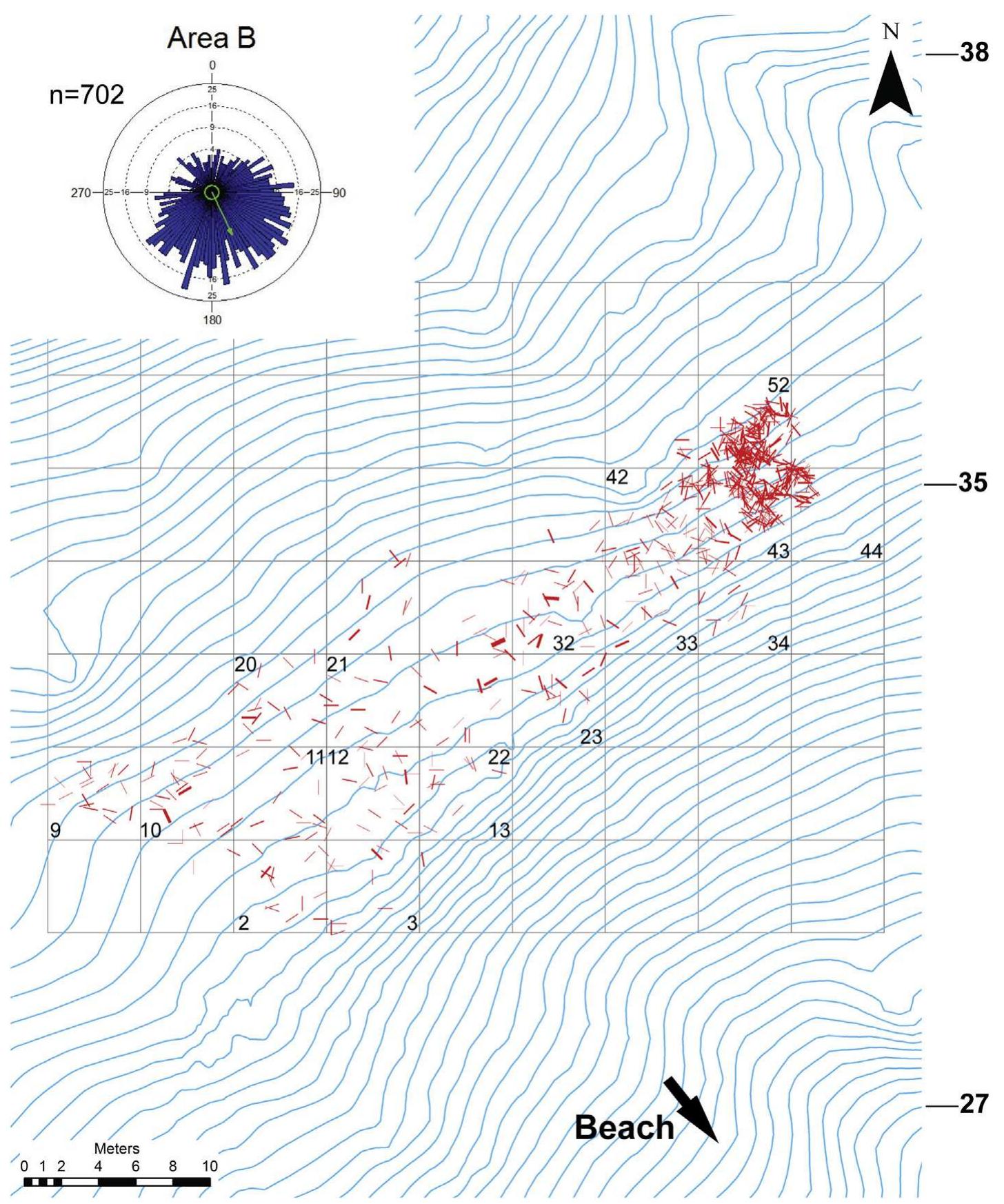 Fig. 4. Vleesbaai Area B showing all artifacts with bearing data projected onto a contour map of the landscape surface. The rose diagram in upper left corner shows the distribution of artifact bearings. Arrow extending out from circle indicates the direction of preferred bearing of the artifacts and that the bearing is significantly different from random (p > 0.05). The contours are in meters a.s.l. at 25 cm increments. The grid is composed of 5 by 5 m squares. Sequential numbers inside of some grid squares correspond to grid square numbers used in fabric analysis. 
