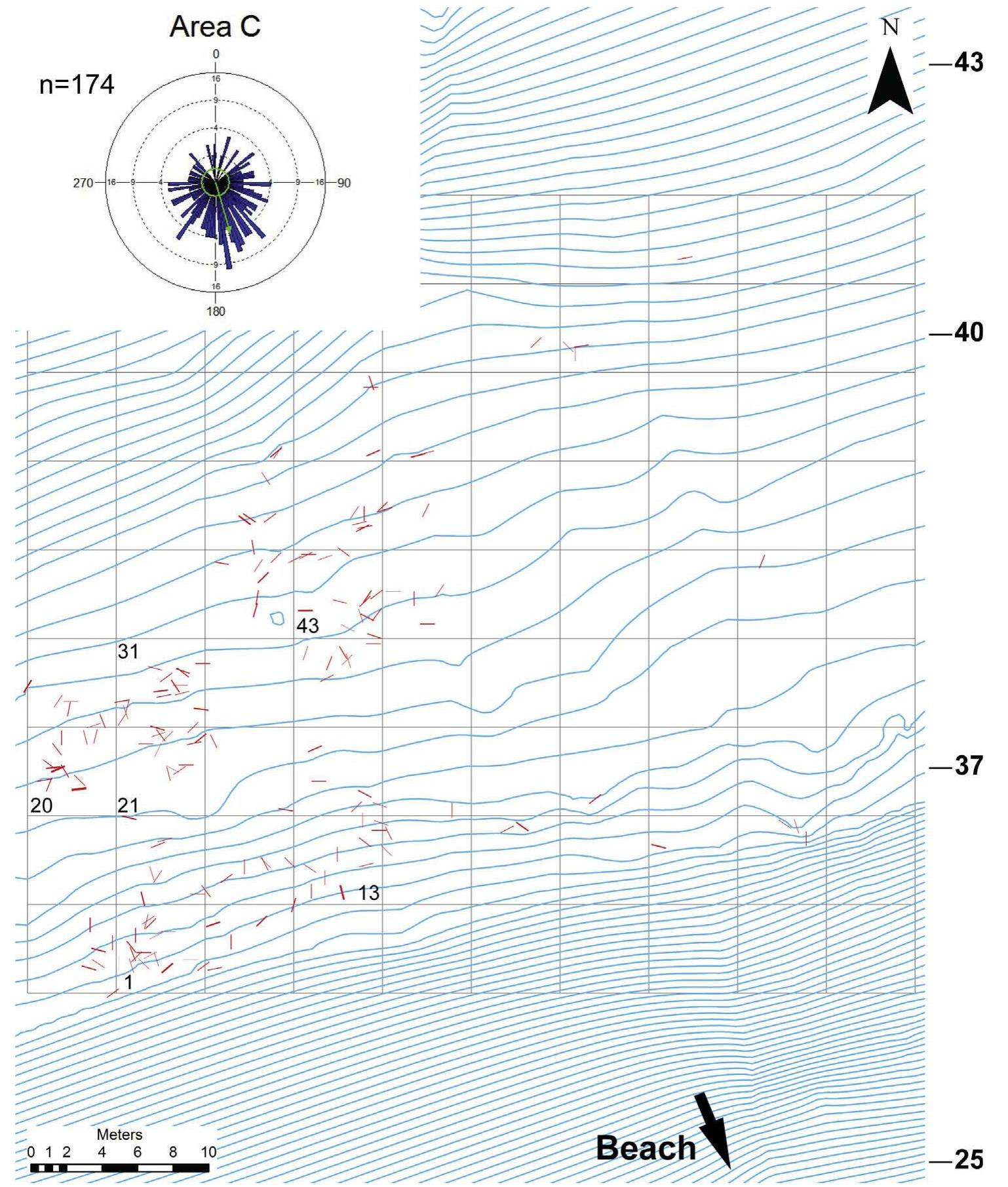 Fig. 5. Vleesbaai Area C showing all artifacts with bearing data projected onto a contour map of the landscape surface. The rose diagram in upper left corner shows the distribution of artifact bearings. Arrow extending out from circle indicates the direction of preferred bearing of the artifacts and that the bearing is significantly different from random (p > 0.05). The contours are in meters a.s.l. at 25 cm increments. The grid is composed of 5 by 5 m squares. Sequential numbers inside of some grid squares correspond to grid square numbers used in fabric analysis. 