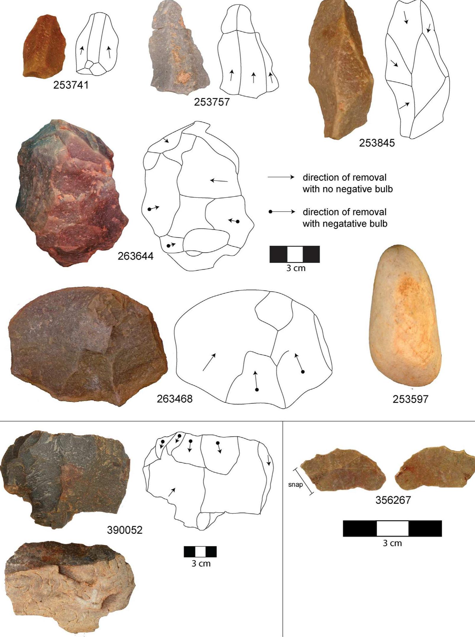 Fig. 7. Lithic artifacts from Areas A and C at Vleesbaai. 253741, Area A, quartzite point with unidirectional parallel dorsal scars and facetted platform. 253757, Area A, quartzite point with unidirectional convergent dorsal scars and facetted platform with conjoining distal fragment. 253845, Area A, quartzite blade with radial dorsal scars and facetted platform. 263644, Area A, quartzite unifacial discoidal core, alternate side is cortical. 263468, Area A, quartzite core with unidirectional convergent scars, alternate side is cortical. 253597, Area A, quartzite hammerstone. 390052, Area C, quartzite bidirectional flake core. 356267, Area C, silcrete backed blade fragment. 