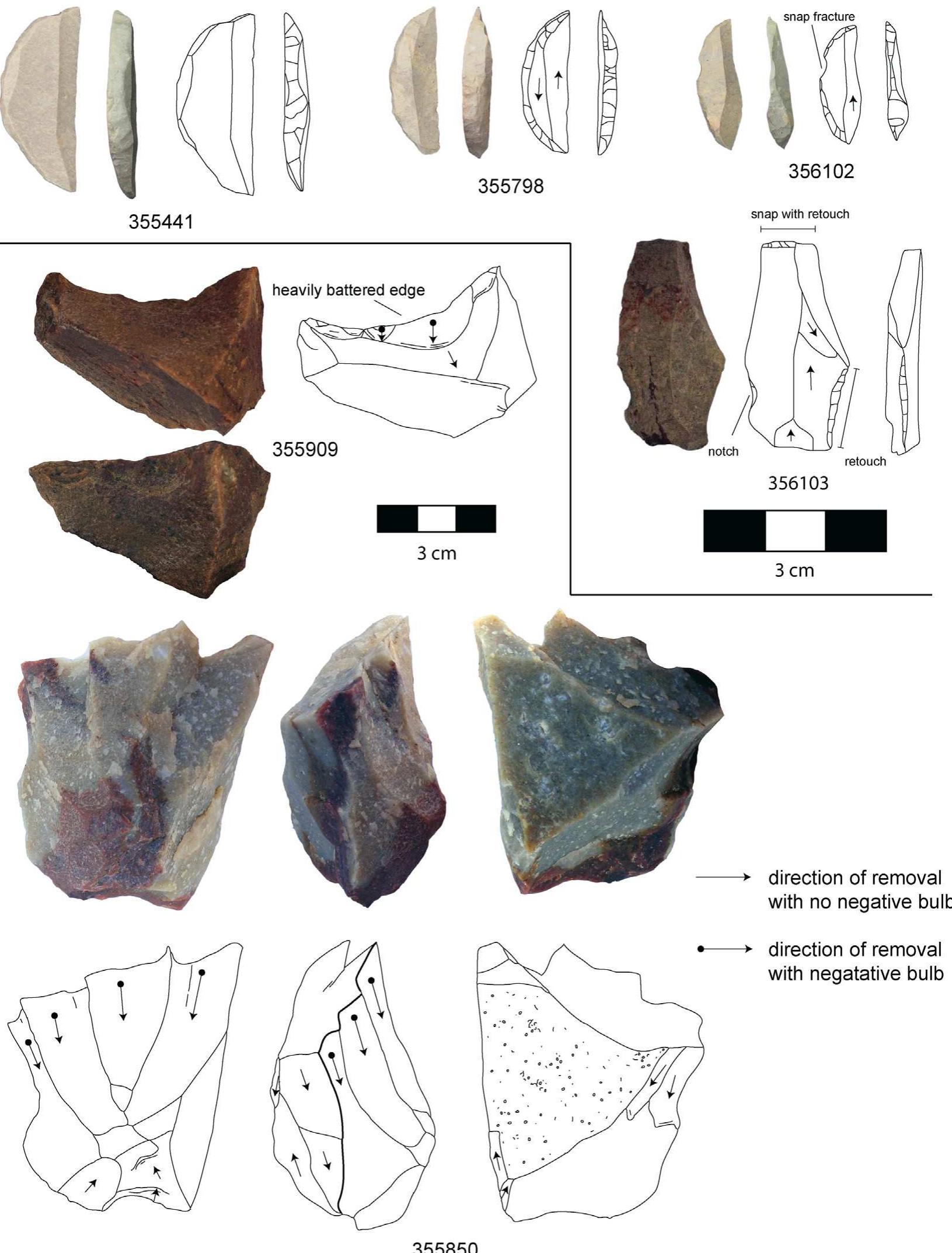 Fig. 8. Lithic artifacts from Area B at Vleesbaai. 355441, silcrete backed blade, completely backed, crescent. 355798, silcrete backed blade, completely backed, crescent. 35610: silcrete backed blade, completely backed, crescent. 356103, silcrete notched blade with distal retouched snap. 355909, quartzite concave scraper. 355850, quartzite convergent flak or blade core, primarily unidirectional removals, some distal removals. 