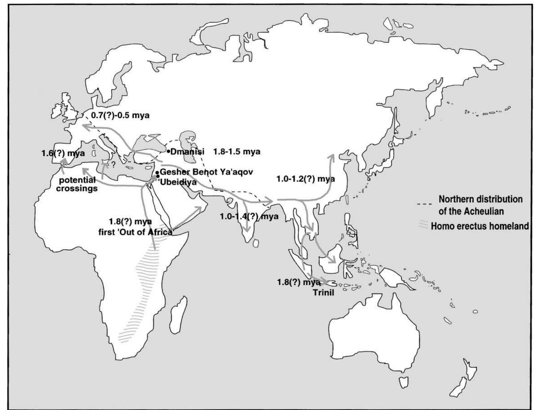 (PDF) From Africa to Eurasia - early dispersals