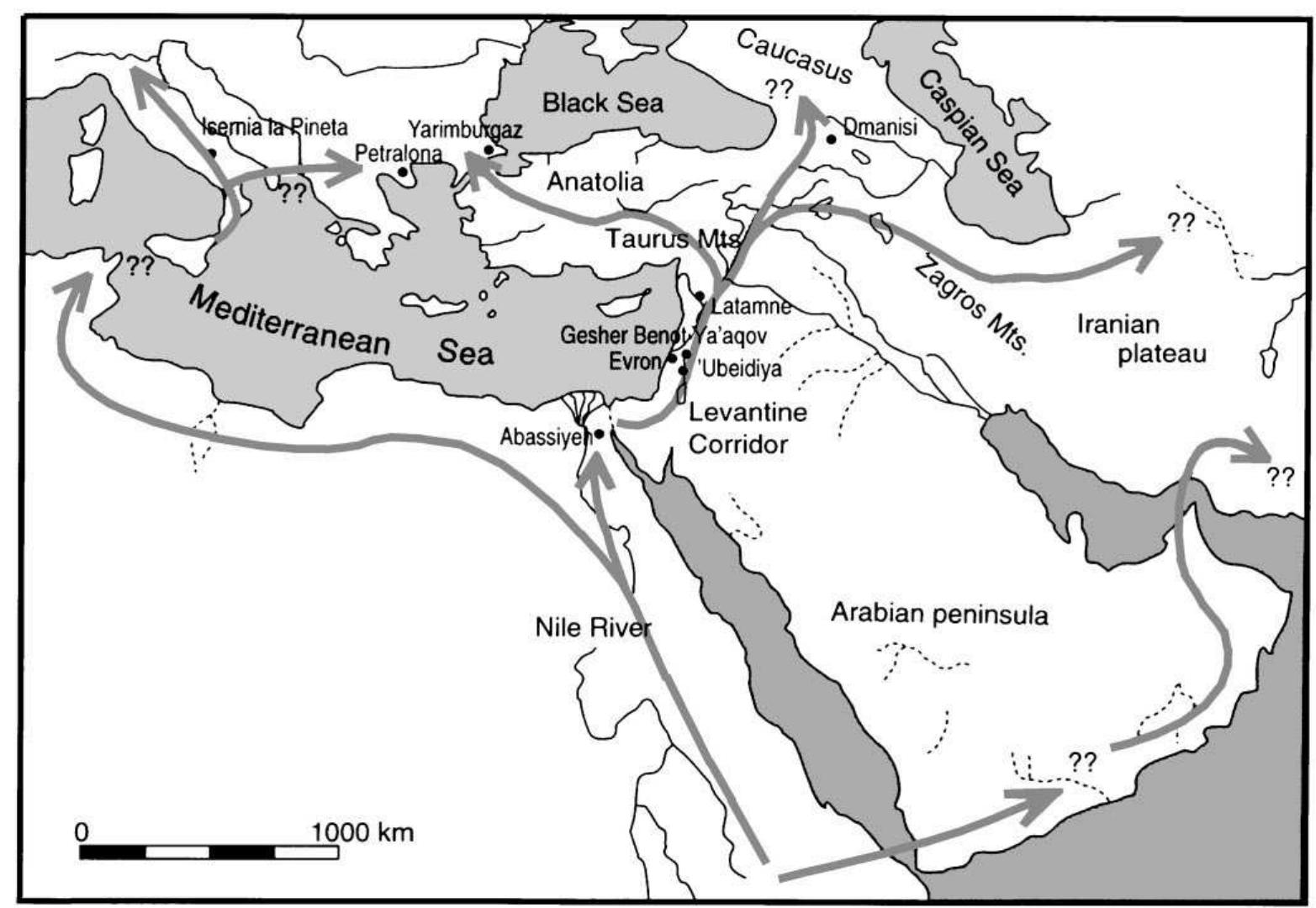 (PDF) From Africa to Eurasia - early dispersals