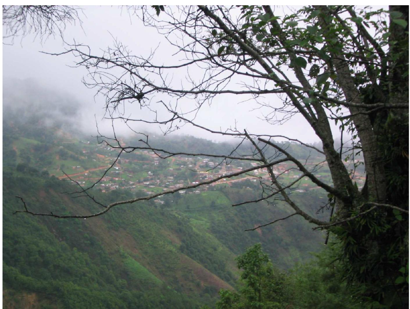 Ficure 2. Cieneguilla, San Juan Quiahije, Oaxaca, Mexico (Photo by Tony) 