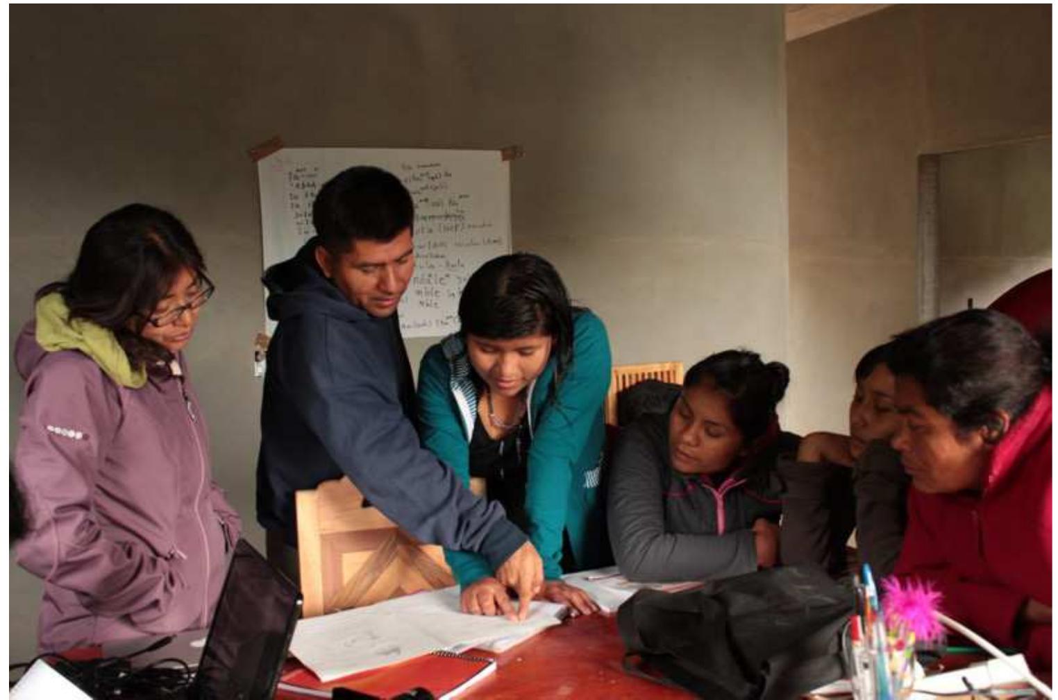 Ficure 13. Emiliana and trainees Jess Matus Matus, Gema Galgani Cruz Cruz, Maria Cortés Justo, Gladys Cruz Canseco, and Natalia Salinas Cruz doing field work on the lo- cal Chatino variety in Santa Maria Yolotepec, June, 2012 (Photo by Gibran Morales) 
