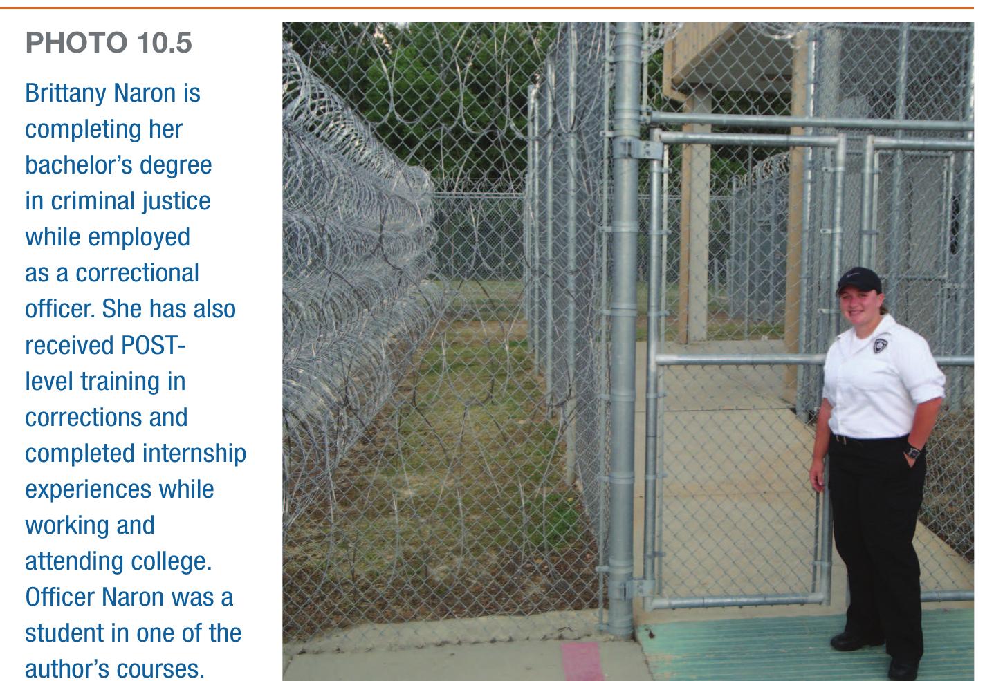 Figure 1 - Prison Subculture and Prison Gang influence
