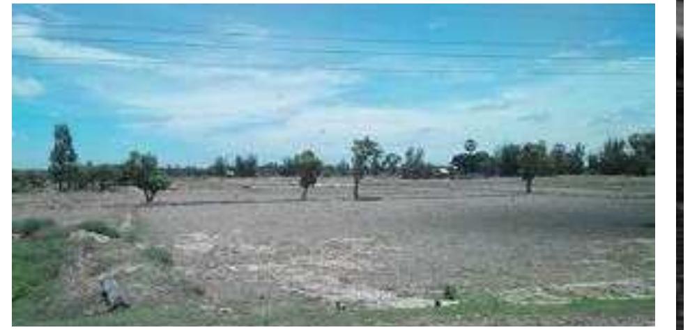 Dry zone at Champhone district,06June2014  Working with senior DAFO officer, Champhone dist.,05June2014 