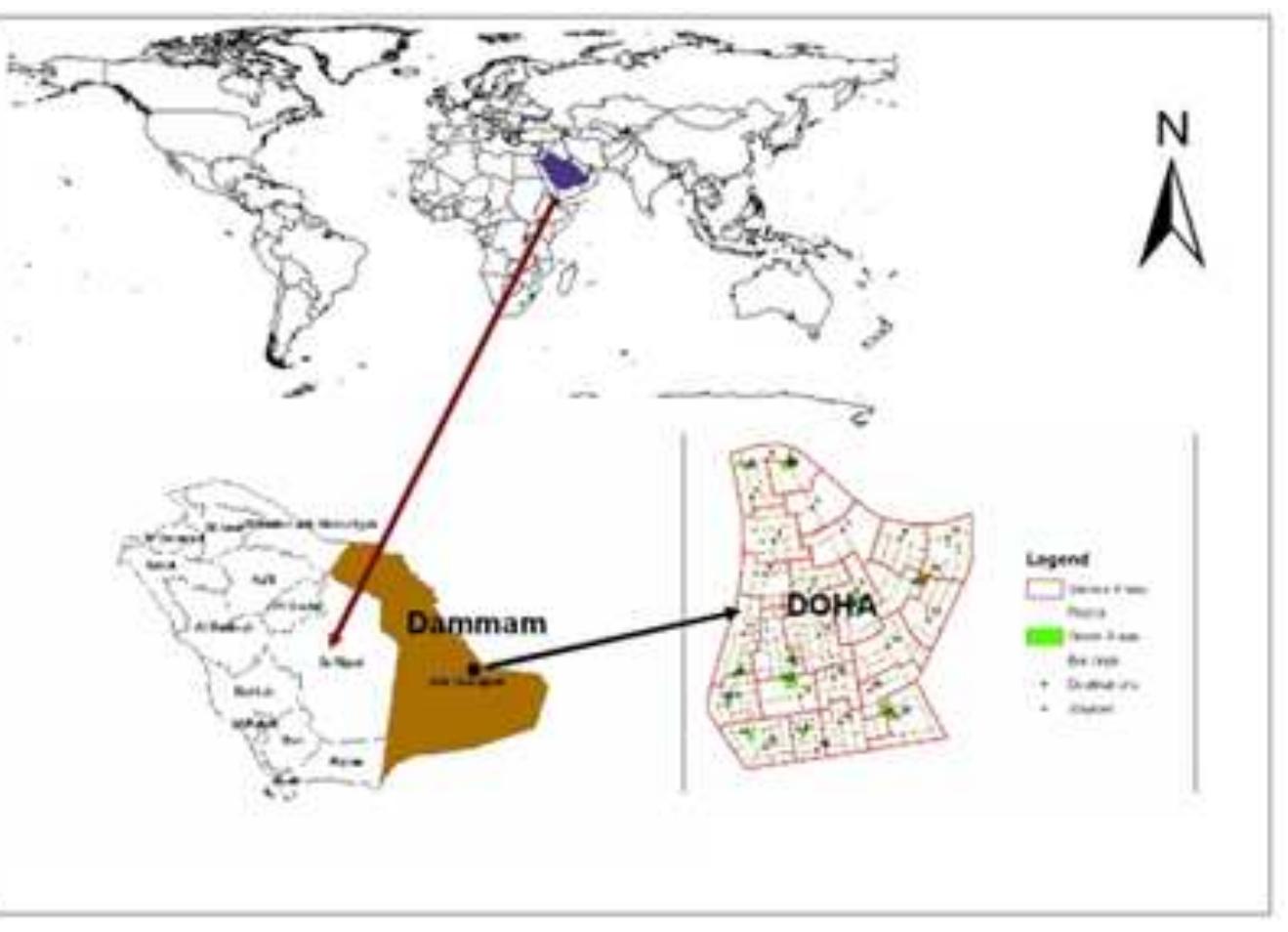 (PDF) GIS and Space Syntax: An Analysis of Accessibility to Urban Green ...