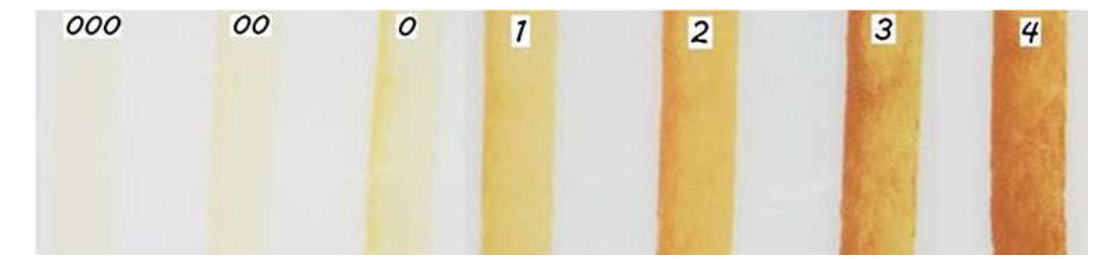 (PDF) Colour Measurement and Analysis in Fresh and Processed Foods: A ...