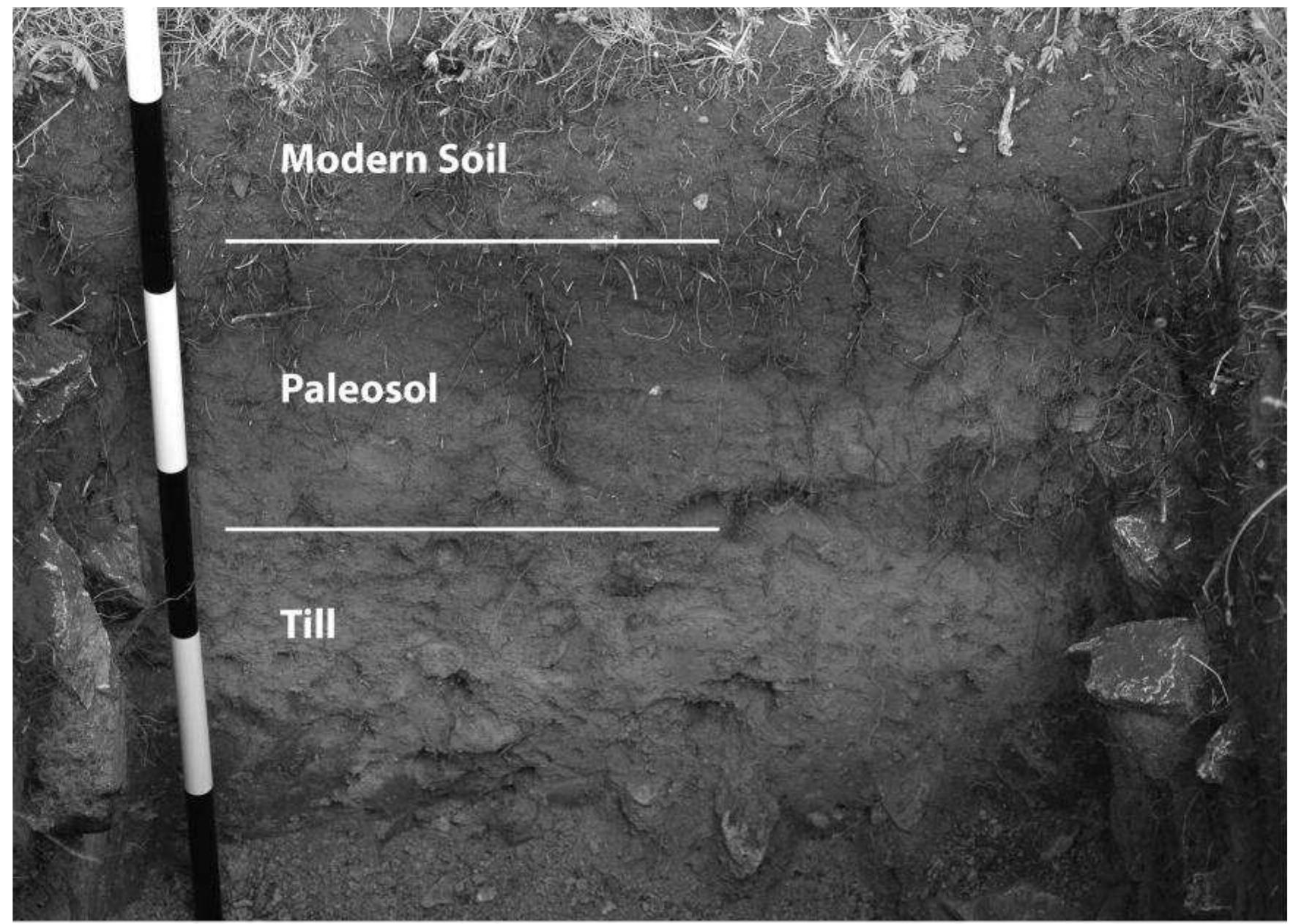 FIGURE 4. West profile of Excavation Unit 2 at the Uncompahgre Cirque site, showing the major lithostratigraphic units present. 