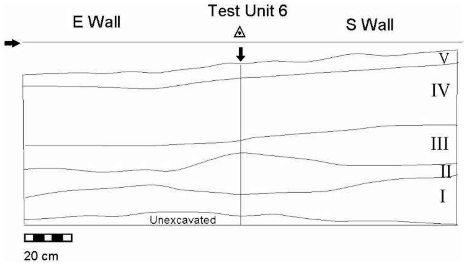 The site lies in a basin formed by Pleistocene erosion. Aeolian loess from local bedrock erosion is the main source of sediments. Sheet flow alluviation more or less constantly re-works the surface deposits. The loess deposits thicken in the lee of local topographic obstruc- tions, and non-eroded pockets of thicker loess contain the areas where known archaeological deposits occur. Five deposits aging from latest Pleistocene to modern are recognized in the stratigraphy (Figures 2 and 3). Because of differing degrees of deflation, some sediment units are missing in some places and thickness of individual units 