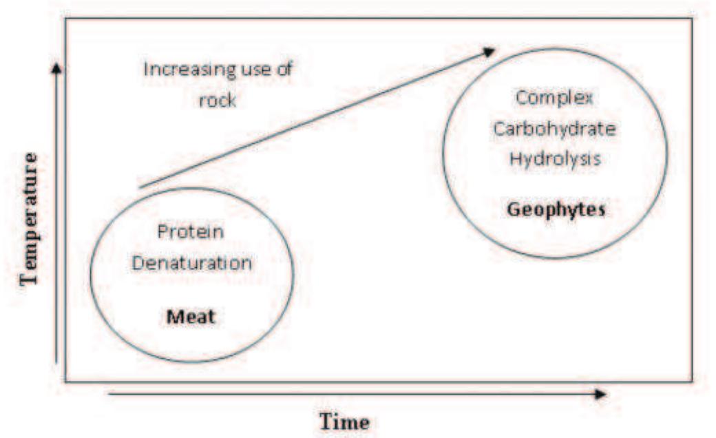 FIGURE 1. Illustration of the relationship between food resource biochemistry and cooking requirements. Adapted from Wandsnider (1997).  Finally, Wandsnider’s seminal article (1997) on food composition and processing illustrates the relationship between cooking strategies and the complex carbohy- drate content (particularly inulin and fructan) of many plant food-resources. She draws a distinction between protein denaturation, 1.e., meat cooking—which requires relatively little thermal energy—and the comparatively costly process of carbohydrate hydrolysis (Figure 1). She argues that the consumption of geophytic plant foods (roots, tubers, rhizomes) necessitated prolonged, low-to- medium heat processing strategies manifest in the design  Michael D. Troyer = The Center for Mountain and Plains Archaeology, Dept. of Anthropology, 1787 Campus Delivery, Colorado State University, Fort Collins, CO 80523-1787, tailwatertroyer@gmail.com 