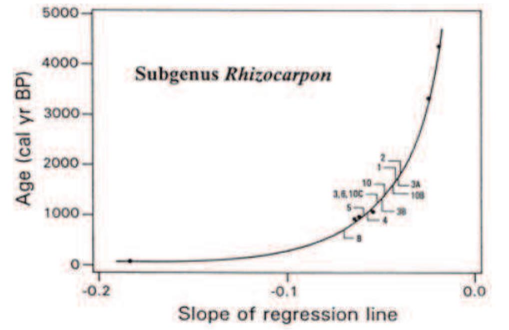 FIGURE 1. Front Range lichen growth curve.  There are two different techniques useful for obtain- ing lichen dates. These are “maximum-diameter” and “size-frequency.” The “maximum-diameter” technique simply identifies the largest lichen thallus (colony body) or thalli on the cultural feature. Knowing the growth rate of the species, it might seem to be simple to state the age 