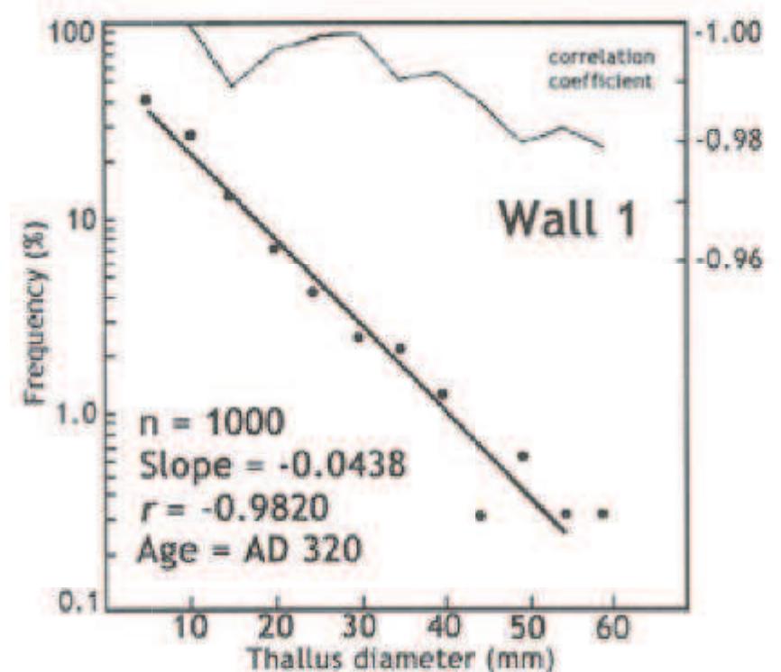 FIGURE 3. Size-frequency slope from Wall 1 at the Sawtooth game drive. 