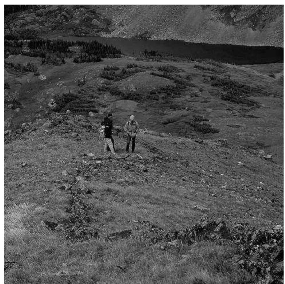 FIGURE 6. Drive wall at the Devil’s Thumb game drive, 5BL103. 