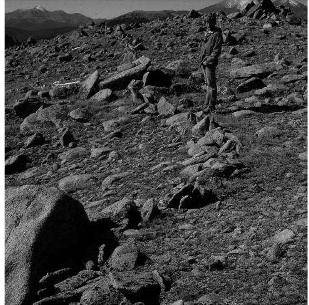 FIGURE 7. Art Hutchinson by a drive wall at the Water Dog Divide site, 5CF373. 