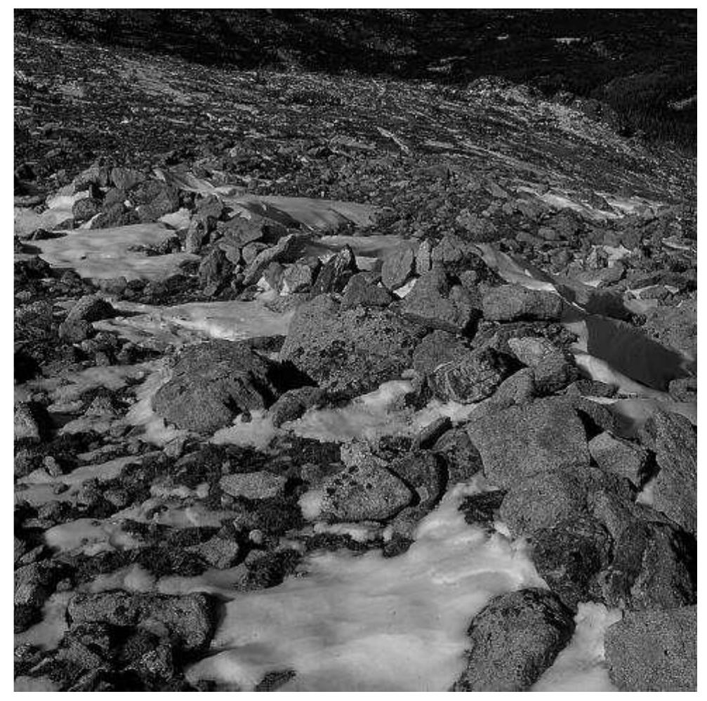 FIGURE 5. Drive wall at the Flattop game drive, 5LR6. 