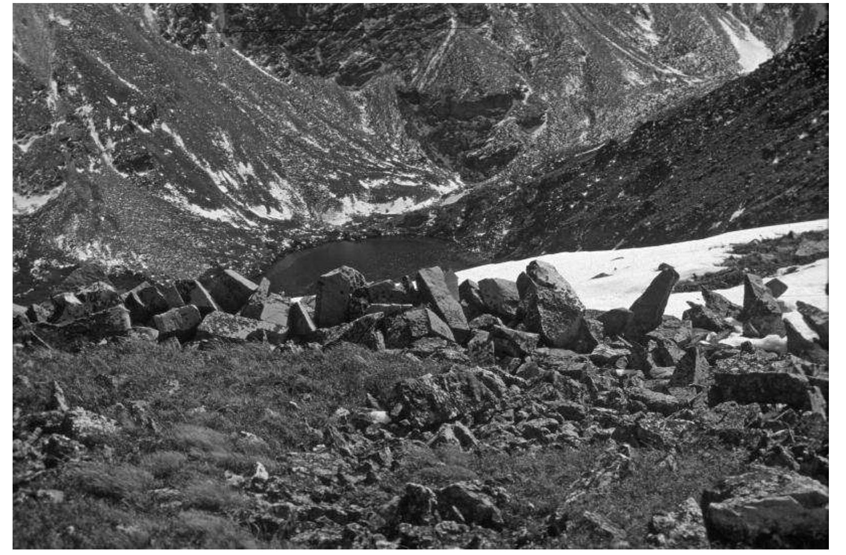 CONCLUDING THOUGHTS  terminal moraines nearby that can be examined for rem- nant lichen colonies to aid in the building of the growth curve. The youngest growth control points could be obtained from high altitude historical substrates, such as non-calcareous tombstones or dated mines or roads. Lichenometry, for all the difficulties associated with the initial construction of a regional growth curve, has been proven over and over to be of great utility in determin- ing site chronologies where ages would otherwise remain unknown. 