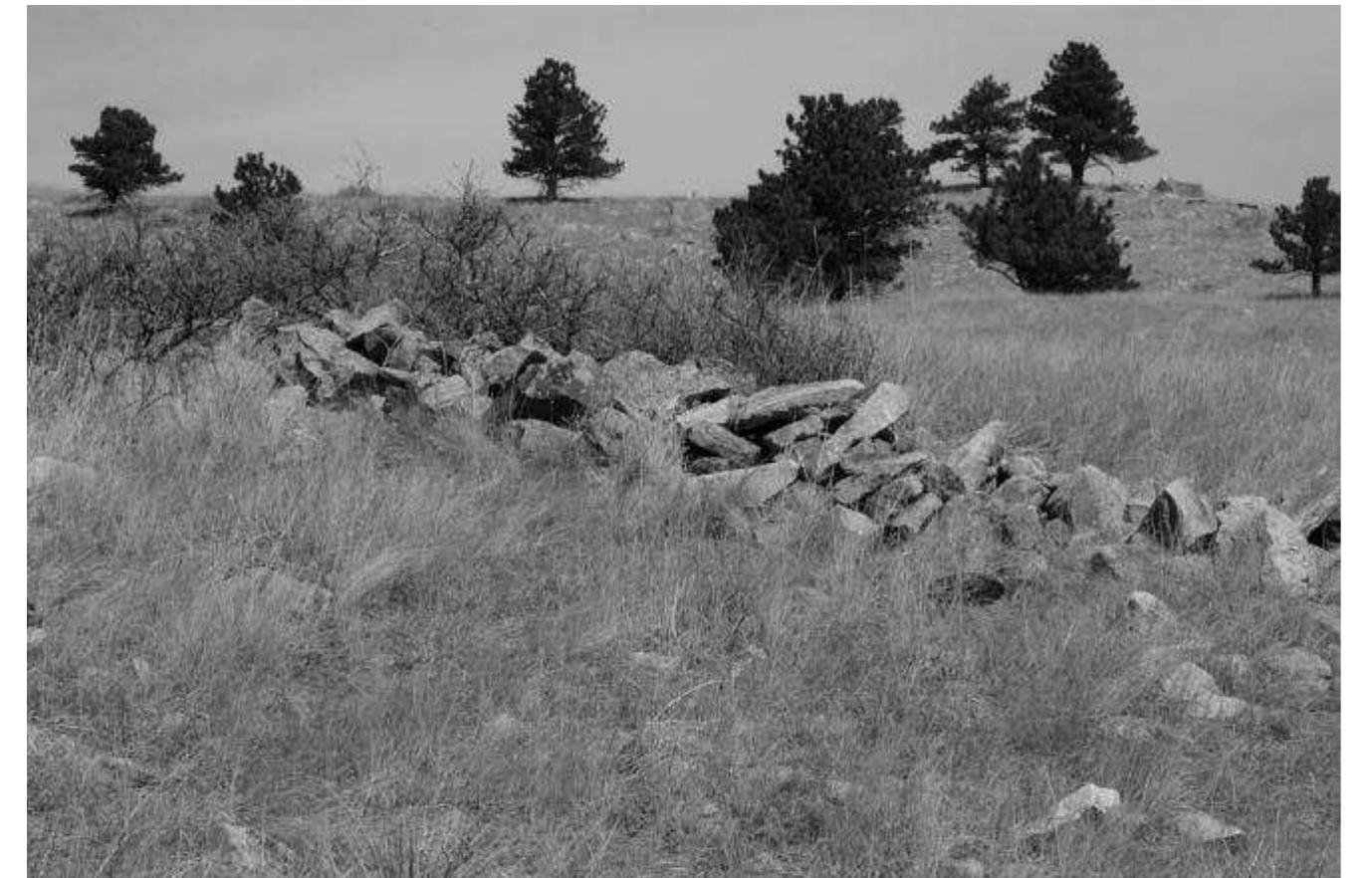 Great Basin (see discussion in Larmore 2002:57-60). Pinto points have been dated at ca. 5000 to 2700 B.P. by Heizer and Hester (1978), and ca. 8300 to 6200 B.P. by Holmer (1978, 1986). 