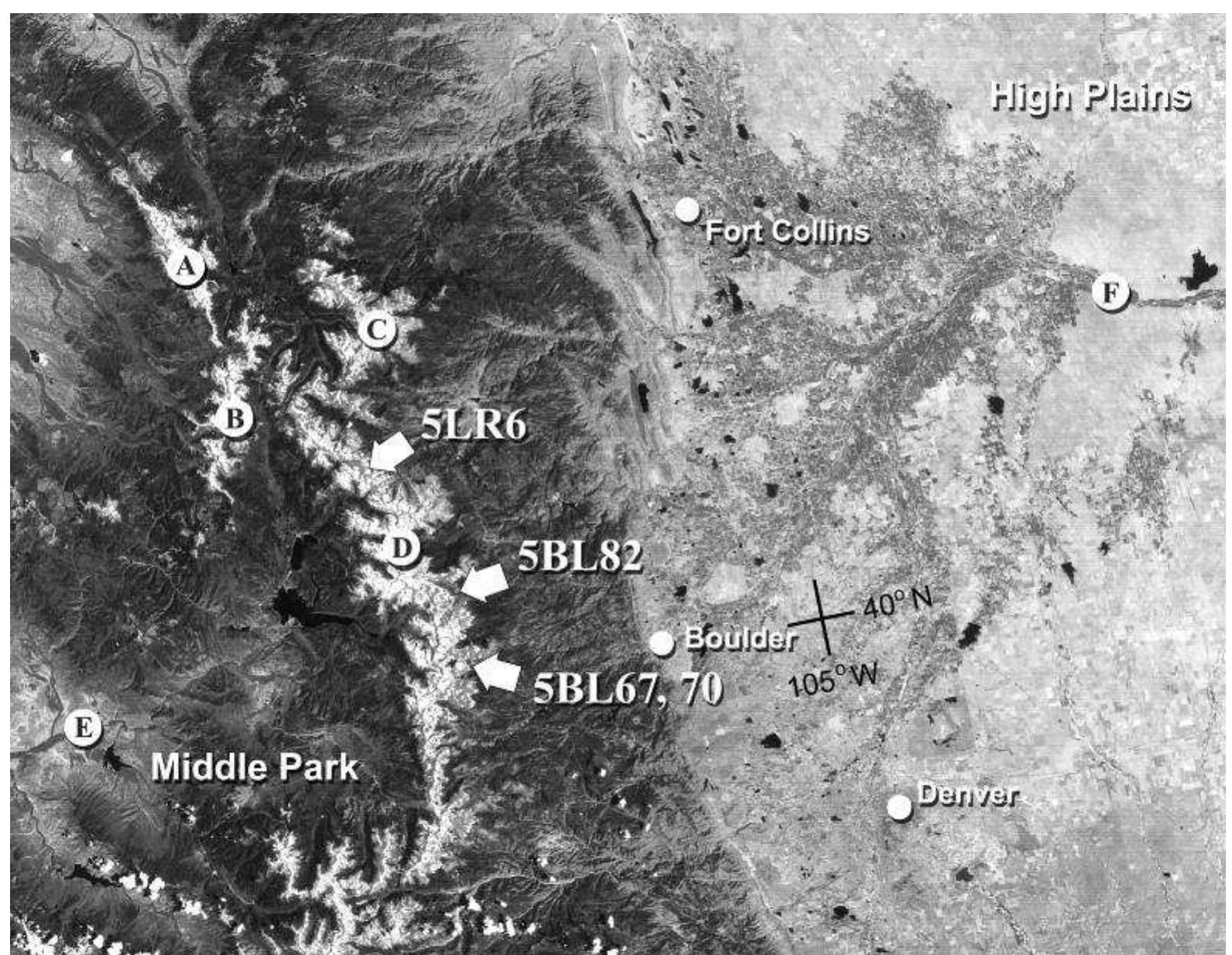 northeast-facing cirques, where windblown snow accu- mulates deeply, and towering cliffs shade the ice from afternoon sun.  necessarily present when the site was occupied (Arm- strong 2008). Radiocarbon dates for bison remains col- lected by Scott George and the author on cirque glaciers at the head of the drainage during the severe melt sum- mer of 2002 (Lee et al. 2006) provide evidence that Bison bison grazed on tundra uplands overlooking the site as long ago as 2280 + 30 14C yr B.P. (NSRL-13400) and as recently as 210 + 60 14C yr B.P. (GX-30359). At altitudes below 3,250 m, the valley floor is forested by Engelmann spruce (Picea engelmannii) and subalpine fir (Abies bifolia). Patches of limber pine (Pinus flexilis) grow in exposed, windy locations. ‘Iwo traditional root-food species—yel- low avalanche lily (Erythronium grandiflorum) and lance- leaf spring beauty (Claytonia lanceolata)—are abundant in the vicinity. Blueberries (Vaccinium myrtillus sabsp. oreophilum), raspberries (Rubus idaeus ssp. melanolasius), and wild strawberries (fragaria spp.) are available in favorable years.  Figure 2 identifies the principal landmarks in the vicinity of the site. The southwest slope of St. Vrain Mountain is visible at lower right (F). Ogalalla Peak (4,004 m) and its close neighbor, Elk’s Tooth (3,916 m), are at the head of the drainage (E). The 3,777-m-high mountain directly west of the site ( D) has no official name, but is known to local ranchers as “Spotted Pony,” a name derived from the snowbanks that dapple its southern flank in summer (Harley and Dolores Cushman, pers. comm., 1970s). A short distance to the south is 3,750-m-high Sawtooth Peak (B), the eastern- most summit on the Continental Divide in North America. Fossil ice-wedge polygons, similar to those that pattern the Arctic coastal plain of Alaska and northern Canada, occur on the floor of the hanging valley at the base of Sawtooth Peak (A), just opposite the site (Benedict 1979a).  Redistribution of the valley’s deep winter snow by prevailing westerly winds causes extreme local variations in depth (Figure 2). During a visit to the site with Robert Benedict on March 1, 2001, we found that the southern entrance to the clearing was blocked by a longitudinal dune of wind-drifted snow approximately 4 m high. The drift, which forms in the lee of a stand of mature stream- side spruce and fir trees, provided a ramp that allowed us to ski onto the surface of the rock glacier that borders the site on its downvalley side (Figure 3, RG1). Much of the clearing was blown free of snow but was glazed with aufeis (overflow ice), fed by meltwater seepage from the sunny hillslope to the northeast. 