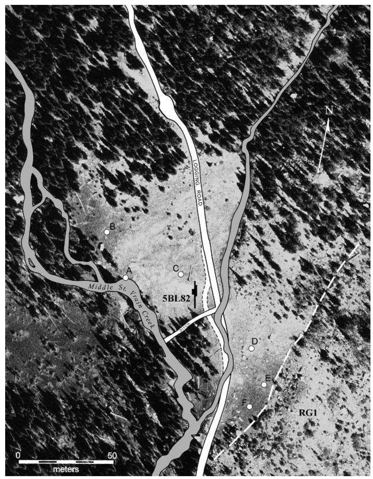 grows in the clearing. The principal native species are tufted hairgrass (Deschampsia cespitosa), pussytoes (Antennaria parvifolia), cinquefoil (Potentilla pulcherrima), and yellow stonecrop (Amerosedum lanceolatum). Spore- bearing stems of the grapefern, Botrychium lanceolatum— described by Weber and Wittmann (1996:27) as “infre- quent, inconspicuous, and rarely collected”—have been found along the willow-lined tributary stream that enters the valley from the north (Figure 4). Alien species, intro- duced in the feed and feces of cattle and horses, include dandelion (Taraxacum officinale), white Dutch clover (Trifolium repens), red clover (Trifolium pratense), and strawberry blite (Chenopodium capitatum). The narrow wetland at the southeast margin of the clearing (Figure 4) supports a dense cover of native sedges (Carex ebenea), rushes (Juncus arcticus), marsh-marigold (Psychrophila lep- tosepala), and cloverleaf rose (Sibbaldia procumbens). 