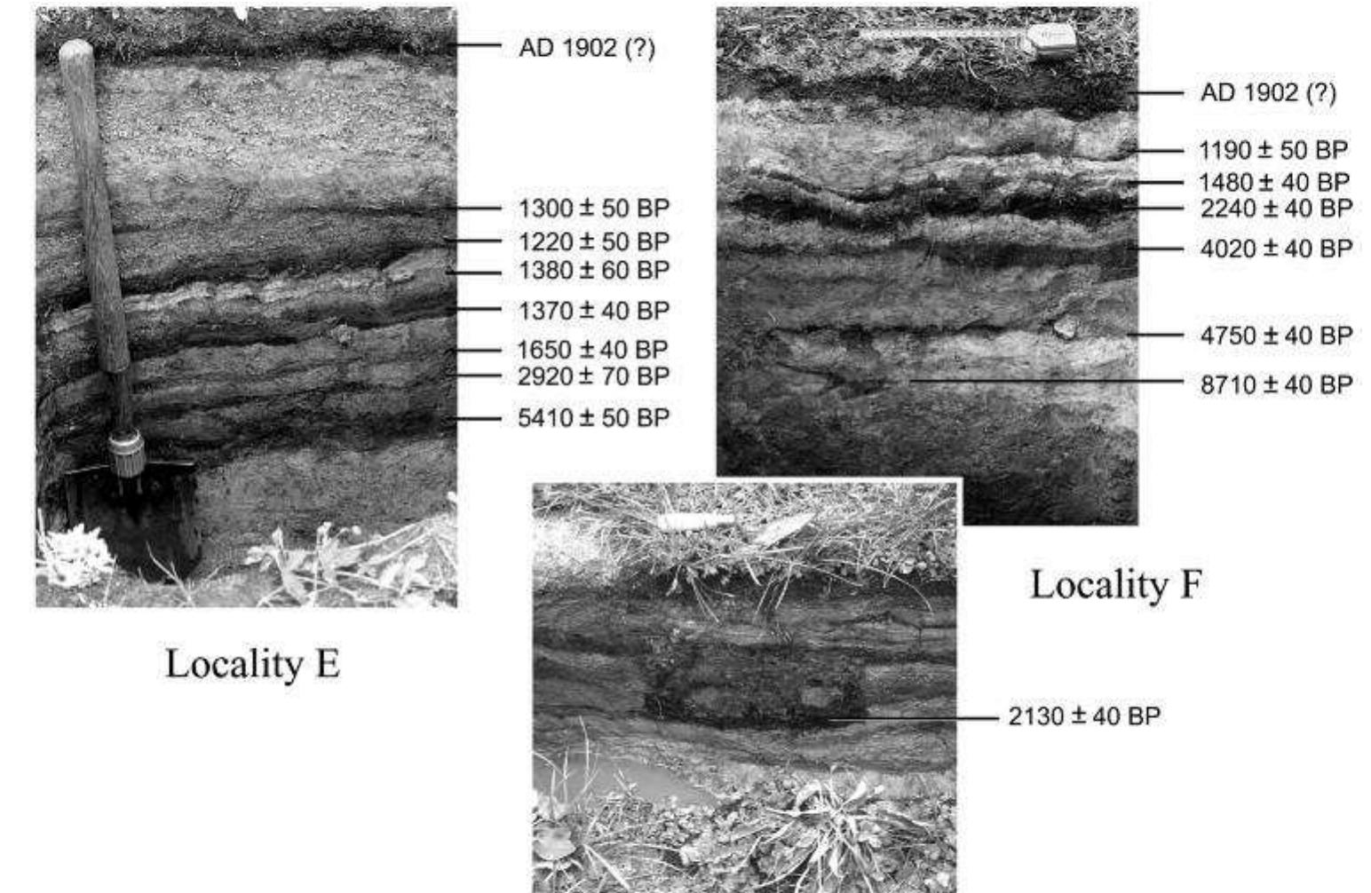 One of the wetland profile pits (Figure 4, Locality F) exposed a prehistoric cooking feature, floored and lined with wood charcoal and filled with a mixture of earth, 