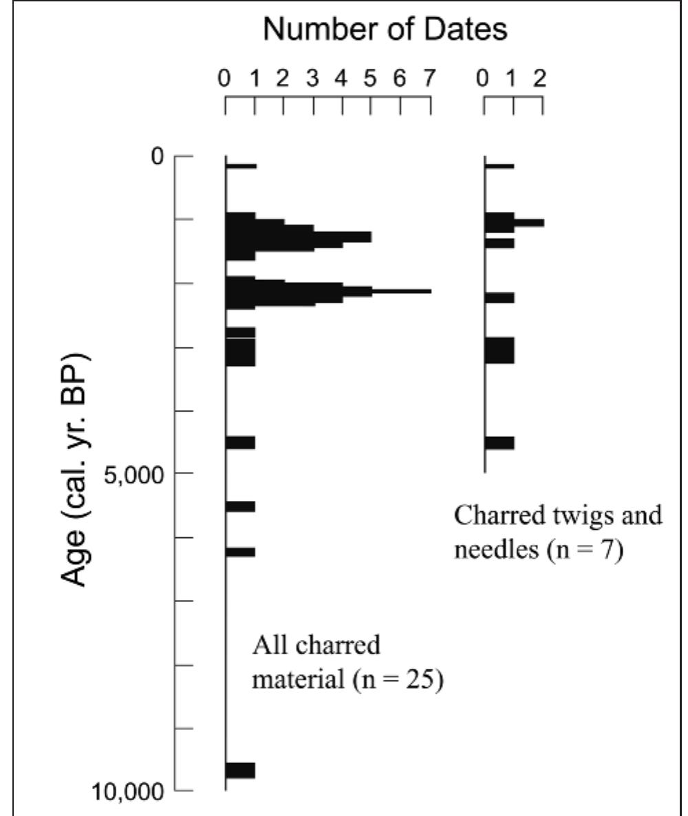 FIGURE 10. Summary of calibrated AMS radiocarbon dates (r = 25) for charcoal layers in the alluvial fan and adjacent wetland. The dates are thought to record wildfires in the 76- hectare drainage basin that supplies sediment to the fan. Histograms tally the number of dates within each 50-year interval, based on their most-probable 2-sigma age ranges. Assuming two wildfire events between 900 and 1650 cal yr B.P., as suggested by dates for charred twigs and needles (uninfluenced by the old-wood effect), at least nine wildfires affected the drainage during the Holocene. 