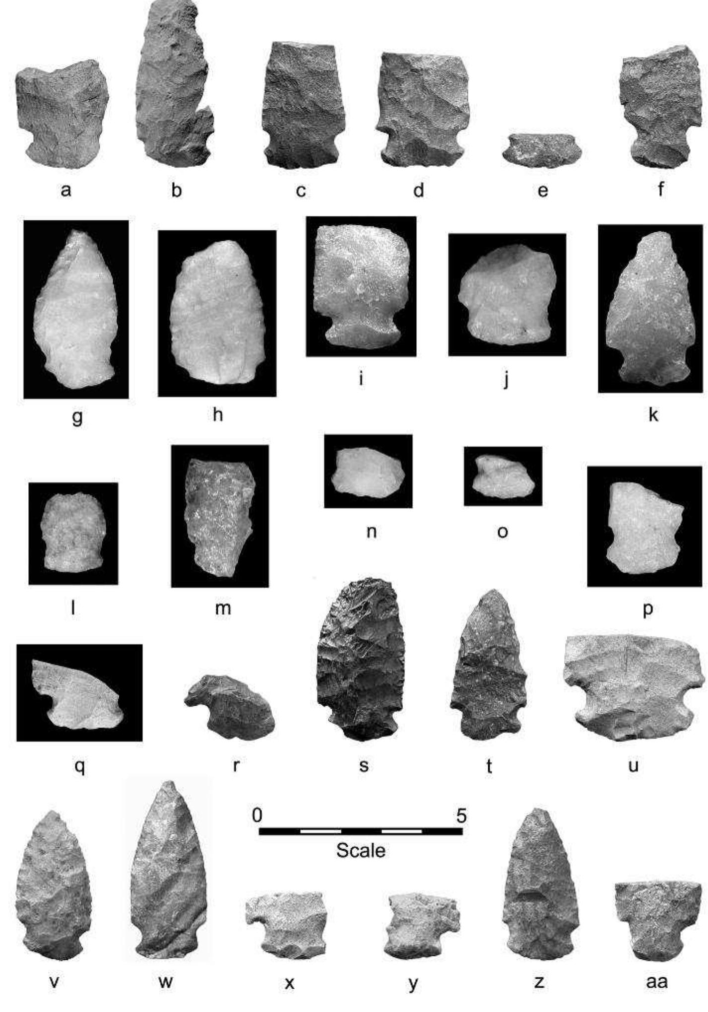Lightning is the most common cause of wildfire in boreal and subalpine-forest settings, but humans are also important contributors (Lutz 1959). Both of the site’s excavated archeological features gave dates that are sta- tistically identical to dates for presumed wildfire events. Did human campfires, left unattended, spread into the surrounding forest? Did people camp at the site because a recent wildfire had created a forest opening? Did they set fire to the forest to improve the productivity of root- food collection areas (Turner 1991), to make the valley more attractive to grazing animals, to facilitate travel, or  Chipped-stone tools attributable to the Mount Albion component at the Spotted Pony site are made of argillite, quartz, orthoquartzite, silicified wood, and chert. The sources of these lithic materials provide infor- mation on the annual rounds and trade connections of the site’s prehistoric occupants. Because some waste flakes and undiagnostic artifacts in the collection may have been left at the site by other groups, the following discussion is based solely on Mount Albion Complex projectile points and point fragments (n = 34), the most 