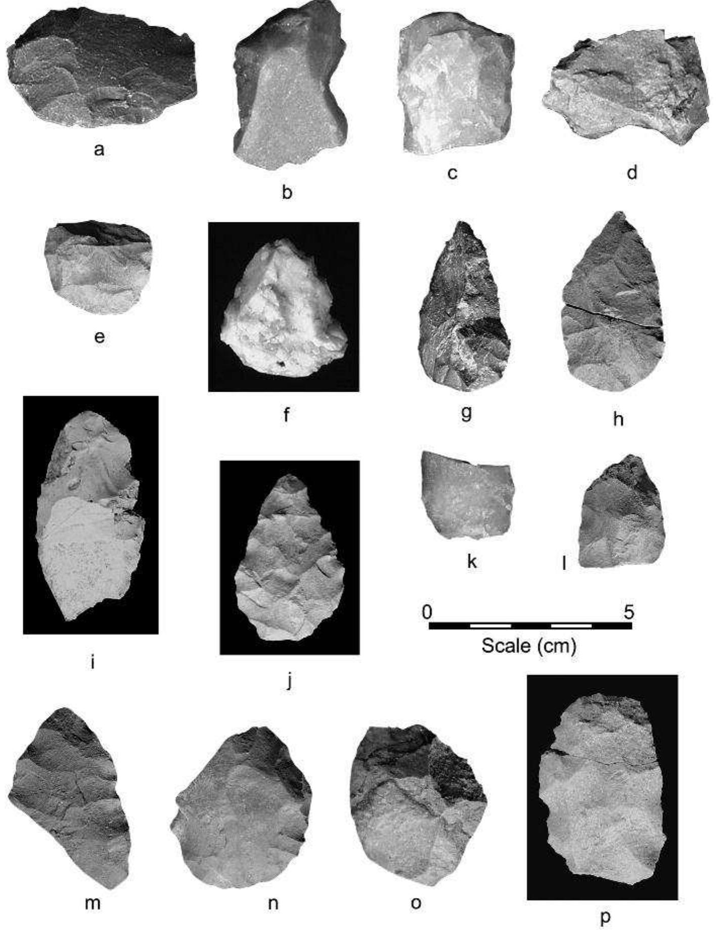 complete of which are illustrated in Figure 11. Most of the site’s butchering tools are made of the same lithic materials (Figure 12), supporting their relationship to the Mount Albion Complex.  (Olson 1978), but not as extreme as at the Hungry Whistler or Flattop Mountain sites (Benedict 1978, 1996). 