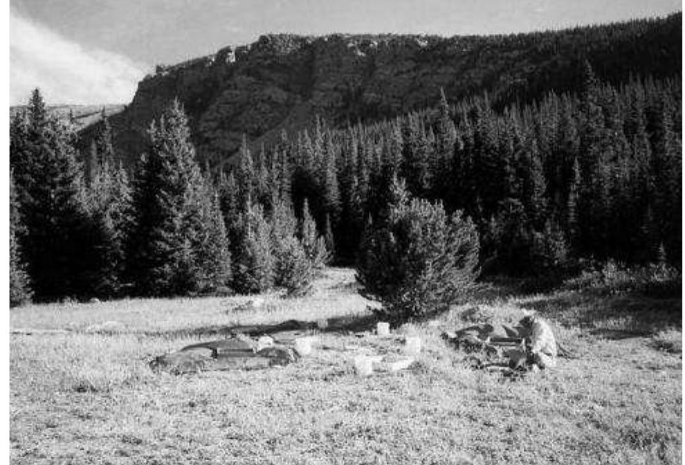 FIGURE 13. A west-northwest view of Spotted Pony site work in progress, 2002. The photo is courtesy of Kris Holien, Indian Peaks chapter of CAS. 