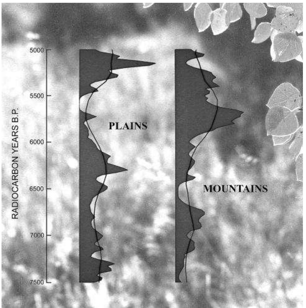 FIGURE 14. Frequency distribution of radiocarbon dates from archeological sites in the Rocky Mountains of Colorado and Wyoming (n = 66) and the Shortgrass Plains east of the mountains (n = 57). Dates were plotted as equal-area normal curves with basal widths proportional to their one-sigma standard errors, then graphically added at 25-year intervals. Heavy black lines represent Spencer’s 21-term weighted moving average. Synchronous-but-opposite long-term trends are thought to reflect changes in effective moisture. This would imply that hunter-gatherers of the Mount Albion Complex visited the high Front Range during a period of regional drought. Conditions may have been particularly severe between 5700 and 5500 14C yr B.P., when both extremes of the environmental continuum experienced declines in human activity. 