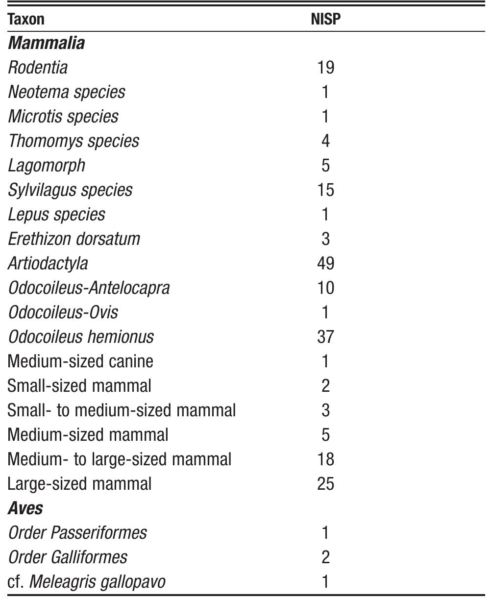 amounts OF worked bone artifacts Uviona U. Charles, per- sonal communication 2009). At least 65 bone awls have been identified since the excavations at the Darkmold site, most of which appear to have been made from the bones of artiodactyls. In addition, 44 bone gaming pieces have so far been identified by archaeologists working at Darkmold, coming in all different shapes and sizes, each having a unique design carved onto them. Fifty-six bone beads have also been found at the Darkmold site, most of which were likely made from the bones of small to medi- um-sized mammals. Another artifact type that was fre- quently identified during excavations at the Darkmold site is the notched bone tool (see Charles and Cole 2006). In fact, 44 notched bone tools have been identified to date, all of which are likely made from artiodactyl bones. While most are made out of ribs and scapulae, one was made out of a thoracic vertebra (Crosser 2003:8). It should be noted that this is the only known Basketmaker I notched bone tool made out of a thoracic vertebra (Crosser 2003:27). ‘Iwo bone scrapers have also been identified, as have an additional 270 worked or polished bones. It is likely that more worked bones will be identi- fied as the analysis of the site’s faunal remains continues. 