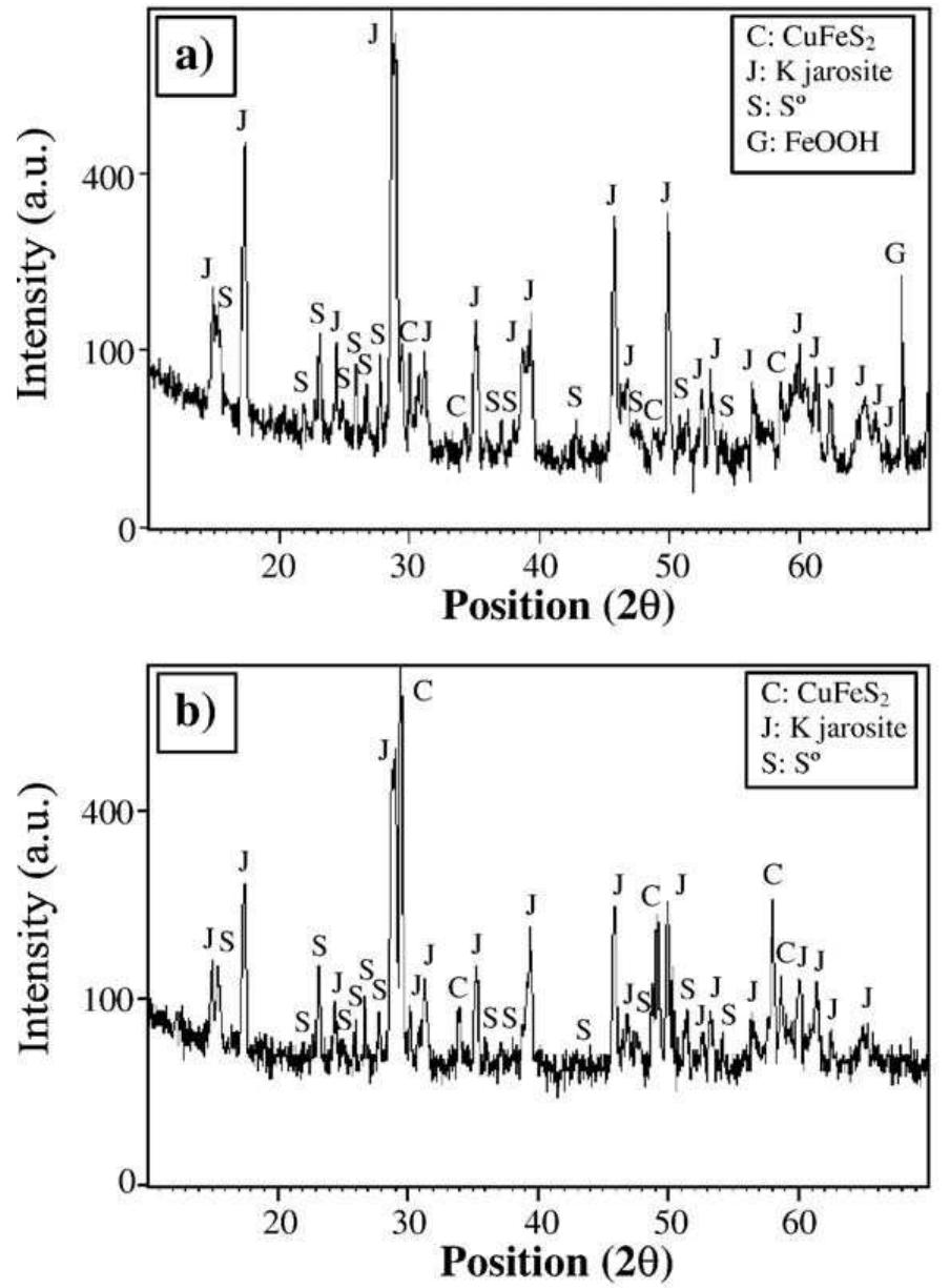 Fig. 7. X-ray diffractograms of the leaching residues at 68 °C and [Fe]rota=5 g/L: a) Ejxnitiat =400 mV and b) Ejxnitiat=600 mV.  At low potentials, the fast leaching kinetics initial stage was followed by another very slow (Fig. 5a) and related to an abundant iron precipitation (Fig. 5d). That would explain the presence of jarosite 