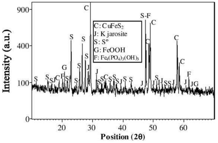 Fig. 12. X-ray diffractogram of the leaching residue at 68 °C, Ejnitias=600 mV and [Fe }rotai=0.5 g/L. 