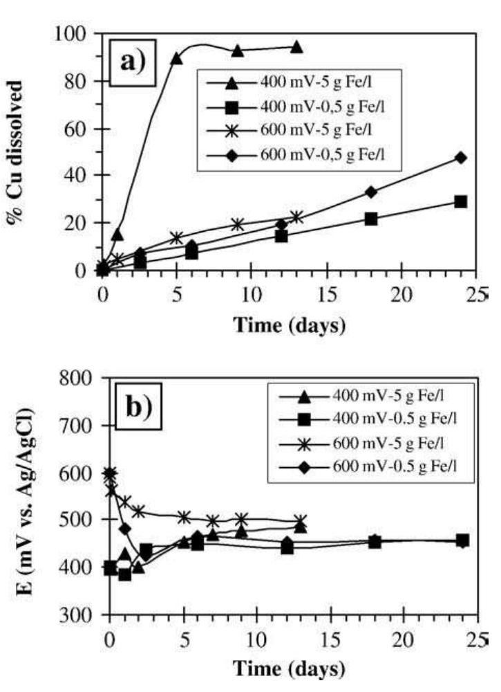 Fig. 10. Influence of iron concentration on the chalcopyrite leaching at 68 °C. 