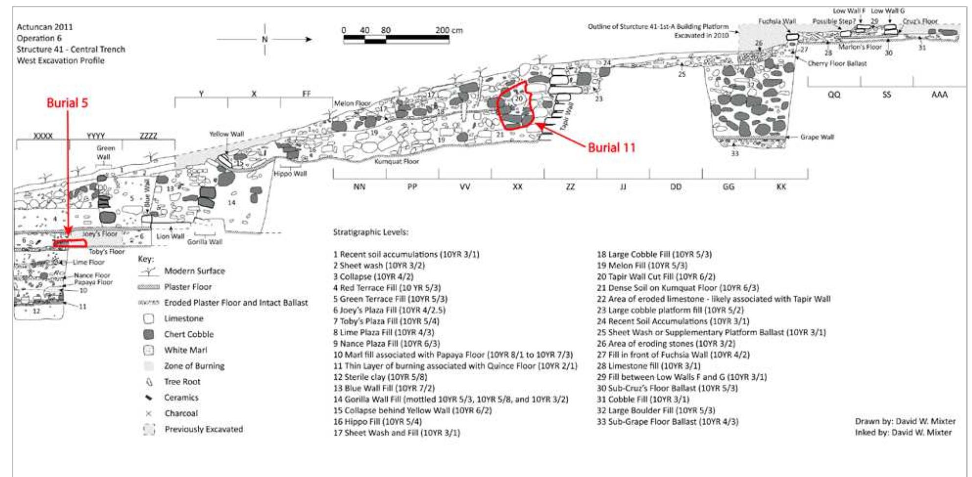 Figure 3. Profile of Structure 41 showing the location of both burials and associated architectural features. 