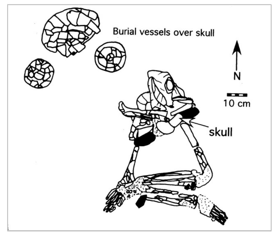 Figure 5. Saturday Creek seated individual in Burial 2 in Figure 4.15 (Lucero 2006: 99) reproduced with the permission of University of Texas Press. 