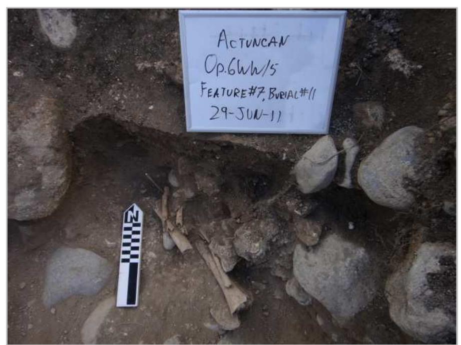 Figure 10. Burial 11 lowest level shows the left lower leg and lower arm bones. Photo by D. Mixter. 