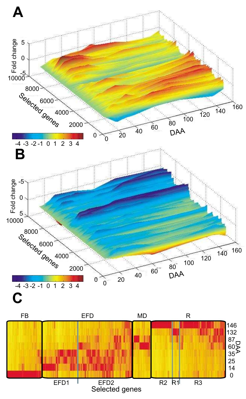 (PDF) Global gene expression analysis of apple fruit development from ...