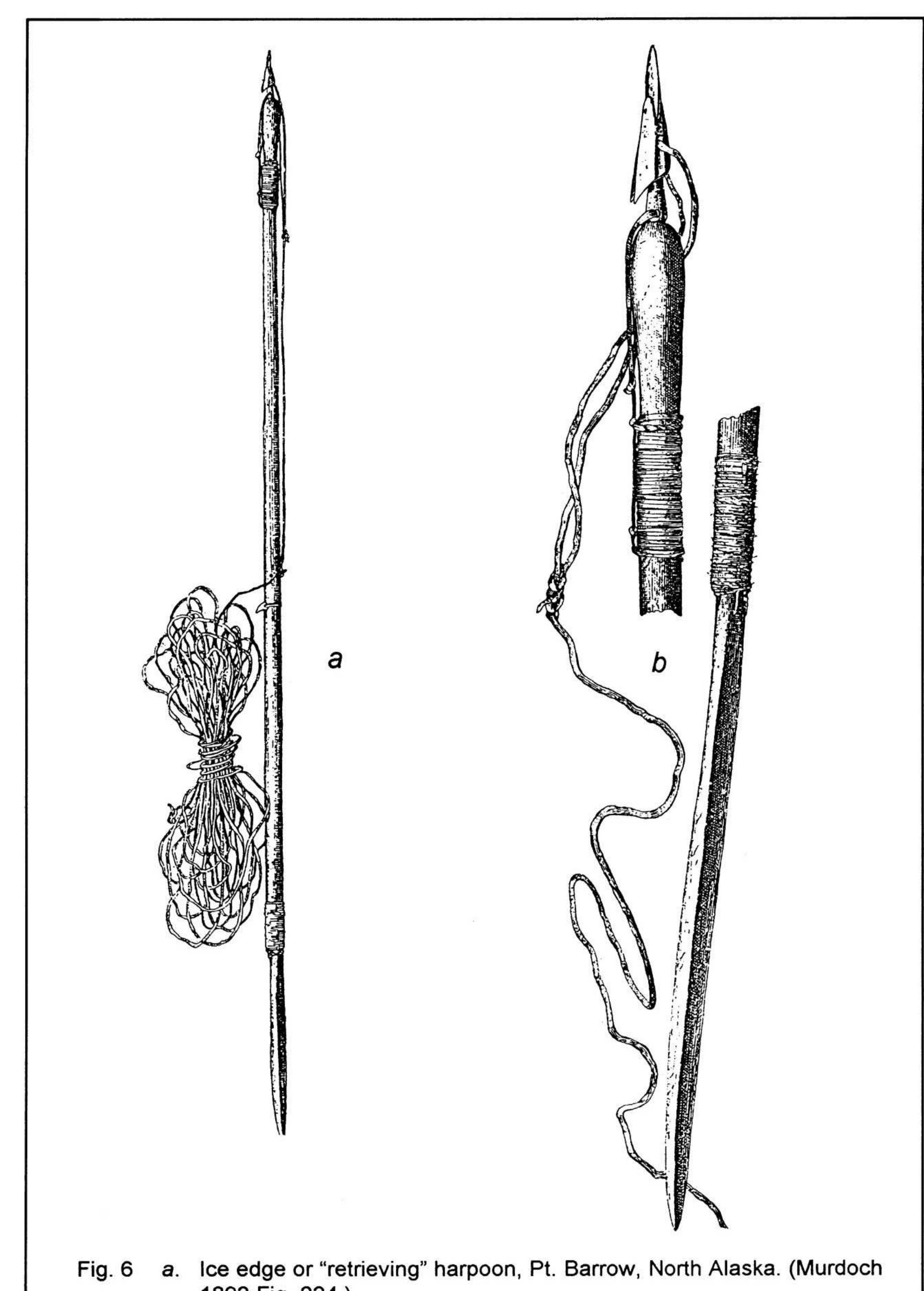 PDF) Thule Subsistence