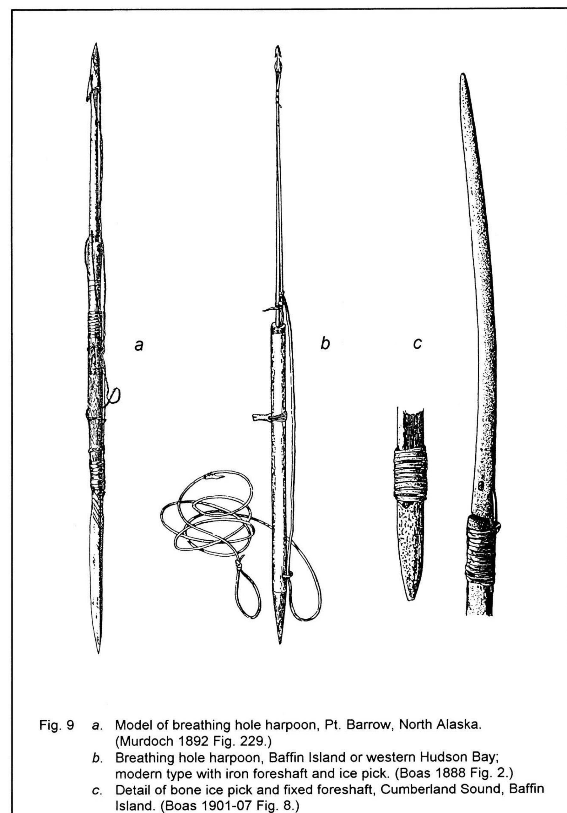 PDF) Thule Subsistence